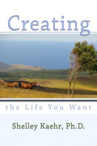 Könyv Creating the Life You Want Shelley Kaehr