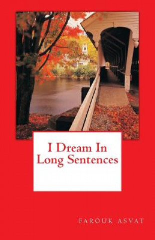 Könyv I Dream In Long Sentences Farouk Asvat
