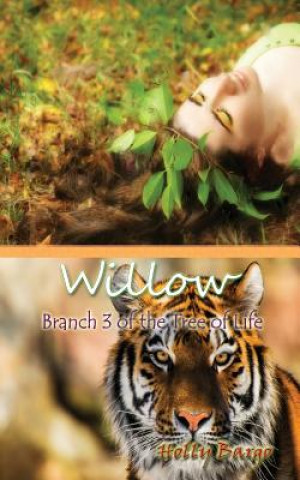 Kniha Willow: Branch 3 in the Tree of Life MS Holly Bargo