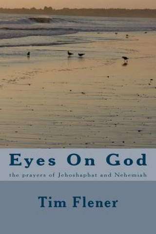 Książka Eyes On God: the prayers of Jehesophat and Nehemiah Tim a Flener