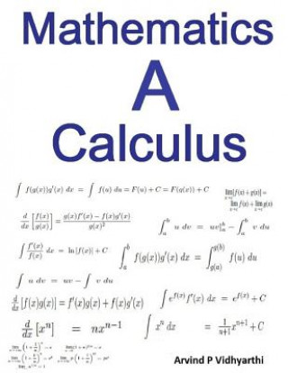 Kniha Mathematics A Calculus Arvind P Vidhyarthi