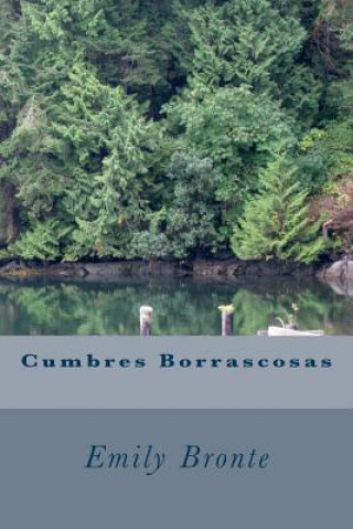 Book Cumbres Borrascosas Emily Bronte