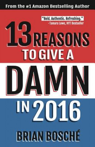 Carte 13 Reasons To Give A Damn In 2016: Moving America From Divided To United Brian Bosche