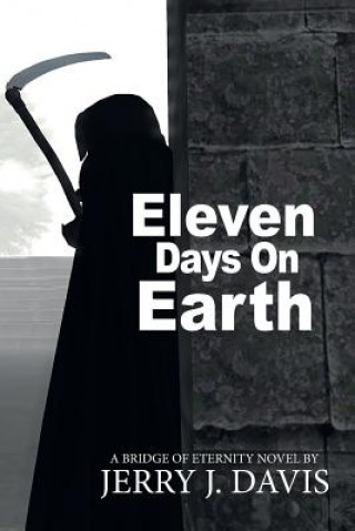 Knjiga Eleven Days on Earth Jerry J Davis