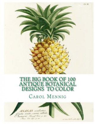 Книга The Big Book of 100 Botanical Designs to Color Carol Elizabeth Mennig