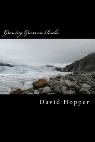 Kniha Growing Grass on Rocks: How to move from Point A to Point B in life David Michael Hopper