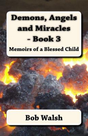 Kniha Demons, Angels and Miracles - Book 3 Bob Walsh