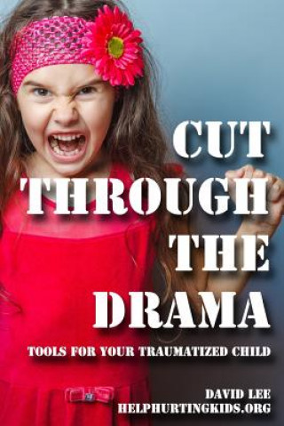 Kniha cut through the drama: tools for your traumatized child David Lee