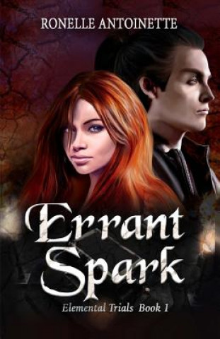 Knjiga Errant Spark Ronelle Antoinette