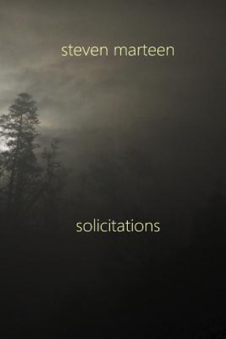 Knjiga Solicitations Steven Marteen