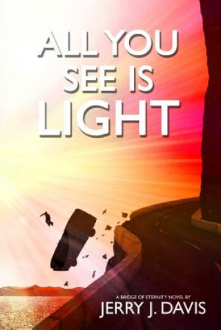 Könyv All You See Is Light Jerry J Davis