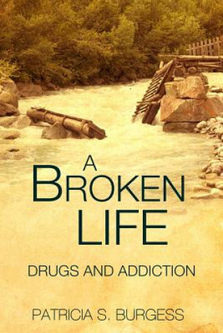 Книга A Broken Life: : Mental Illness or Addiction Patricia Sutton Burgess