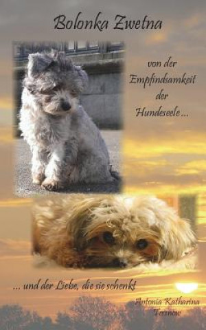 Carte Bolonka Zwetna: von der Empfindsamkeit der Hundeseele und der Liebe, die sie schenkt Antonia Katharina