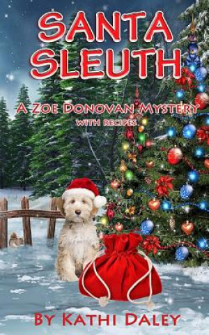 Book Santa Sleuth Kathi Daley