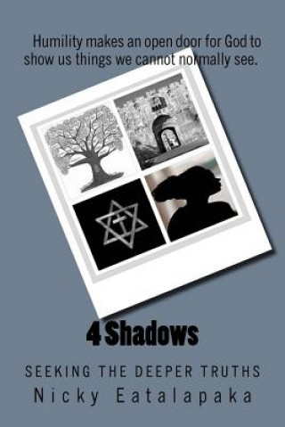Livro 4 Shadows: Seeking the Deeper Truths Mrs Nicky J Eatalapaka