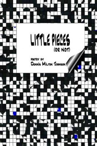 Book Little Pieces Dennis Milton Johnson