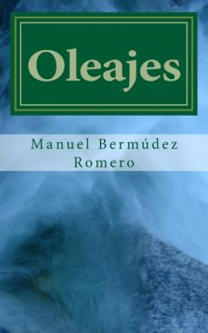 Kniha Oleajes: Quince cuentos verosímiles Manuel Bermudez Romero