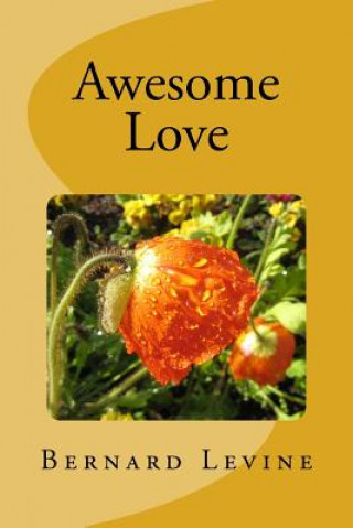 Buch Awesome Love Bernard Levine