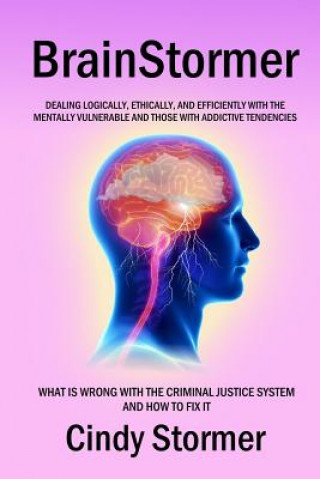 Könyv Brainstormer: What is wrong with the criminal justice system and how to fix it (Dealing logically, ethically, and efficiently with t Cindy Stormer