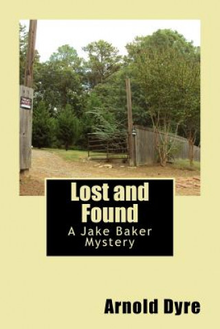 Knjiga Lost and Found Arnold Dyre