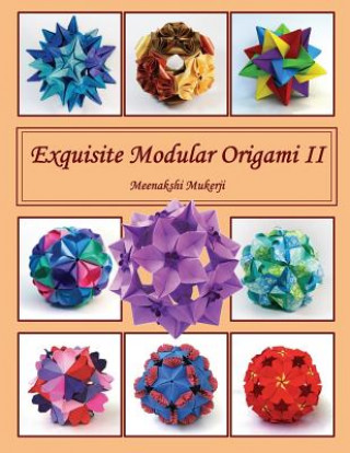 Könyv Exquisite Modular Origami II Meenakshi Mukerji