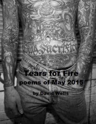 Carte Tears For Fire: poems of May 2015 David S Wells