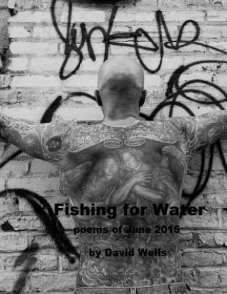 Kniha Fishing for Water: poems of June 2015 David S Wells