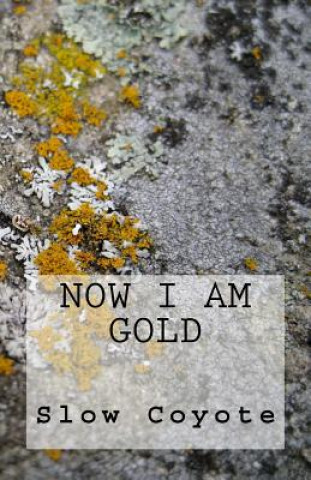 Knjiga Now I Am Gold Slow Coyote