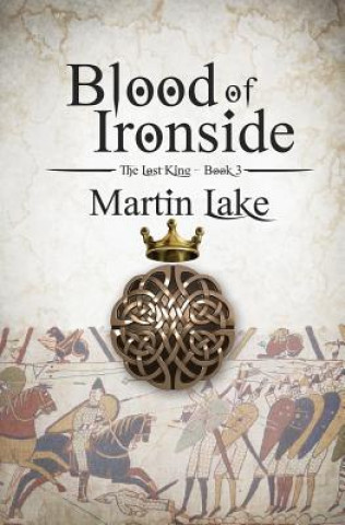 Carte Blood of Ironside Martin Lake