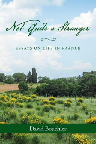 Kniha Not Quite a Stranger: Essays on Life in France David Bouchier