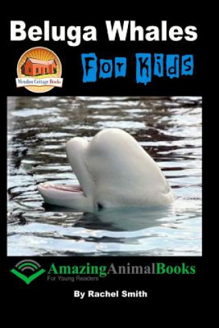 Knjiga Beluga Whales For Kids Rachel Smith