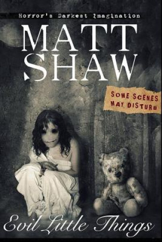 Kniha Evil Little Things Matt Shaw