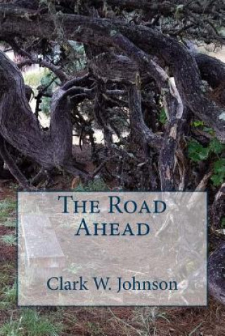 Knjiga The Road Ahead Clark W Johnson