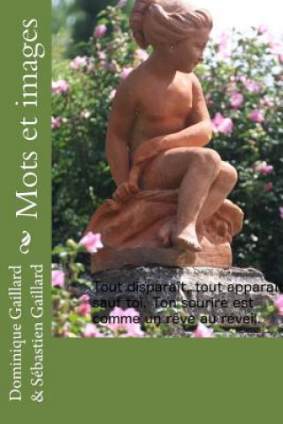 Buch Mots et images Dominique Gaillard