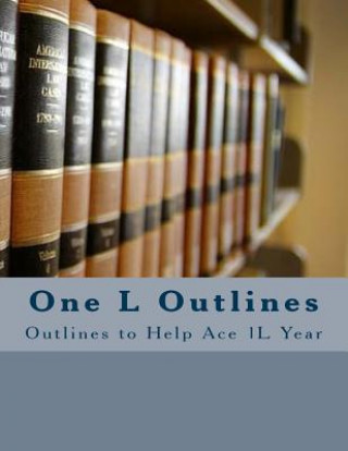 Kniha One L Outlines: Outlines to Help Ace 1L Year John Risvold