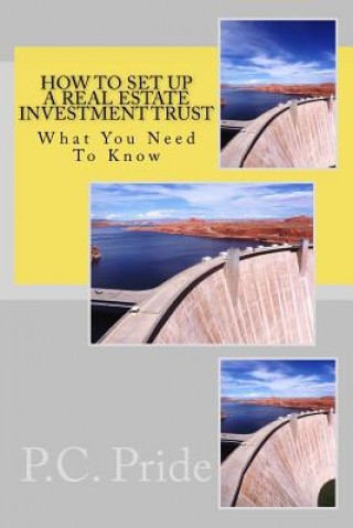 Kniha How To Set Up A Real Estate Investment Trust P C Pride