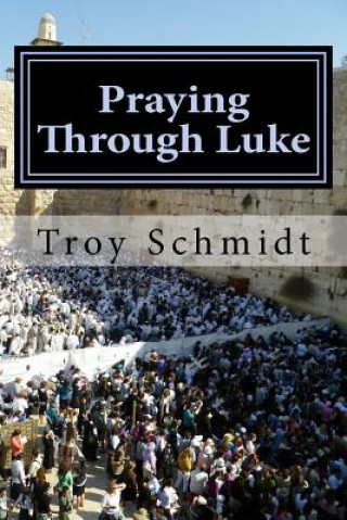 Könyv Praying Through Luke Troy Schmidt