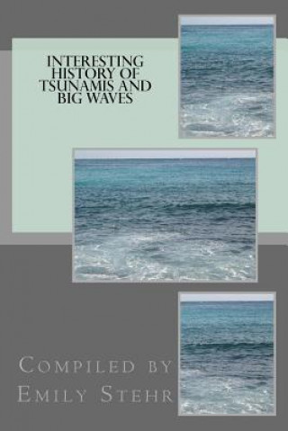 Kniha Interesting History of Tsunamis and Big Waves Emily Stehr