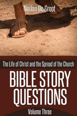Kniha Bible Story Questions Volume Three Norlan De Groot