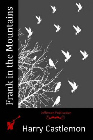 Buch Frank in the Mountains Harry Castlemon