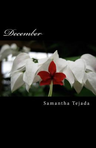 Knjiga December Samantha Tejada