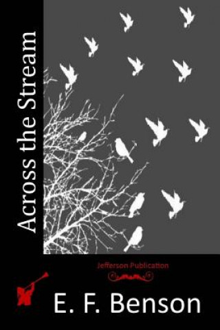 Boek Across the Stream E F Benson
