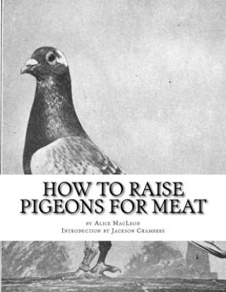 Książka How To Raise Pigeons For Meat: Raising Pigeons for Squabs Book 10 Alice MacLeod