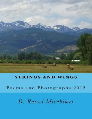 Book Strings and Wings D Russel Micnhimer