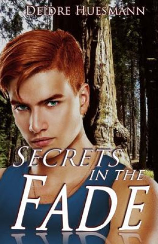 Buch Secrets in the Fade Deidre Huesmann