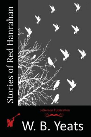 Knjiga Stories of Red Hanrahan W B Yeats