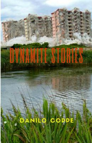 Kniha Dynamite Stories: Storie di ordinaria esplosione Danilo Coppe