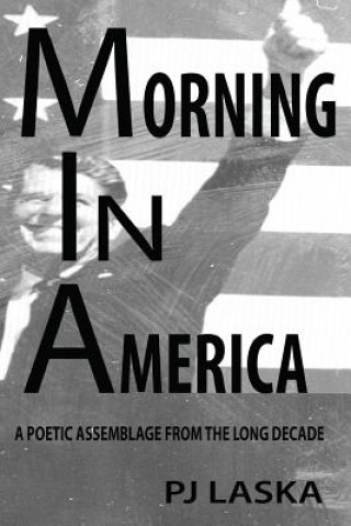 Knjiga Morning in America: A Poetic Assemblage from the Long Decade Pj Laska