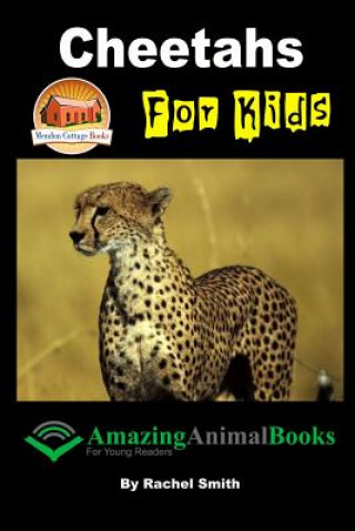 Buch Cheetahs For Kids Rachel Smith