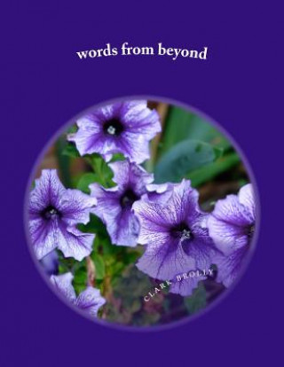 Knjiga words from beyond Clark Brolly